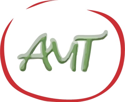 Logo AMT - Berufskraftfahrer Hamburg